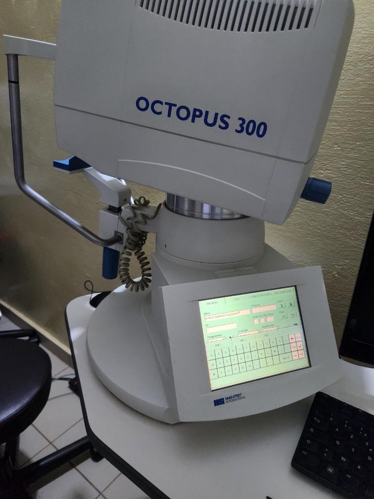 OCTOPUS 300 perimeter — installed and operational